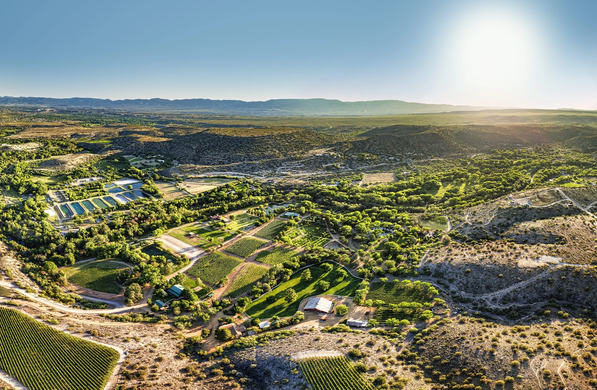 Dancing Apache ranch, Page springs, Az.