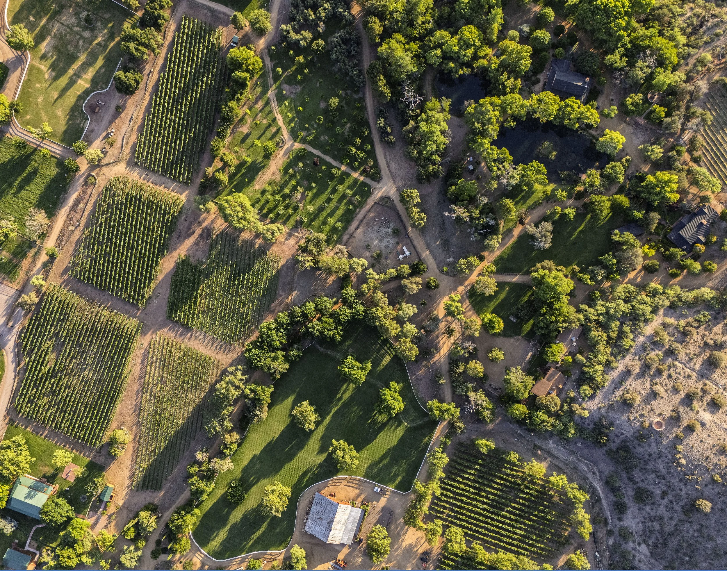 dancing apache ranch 1.jpg