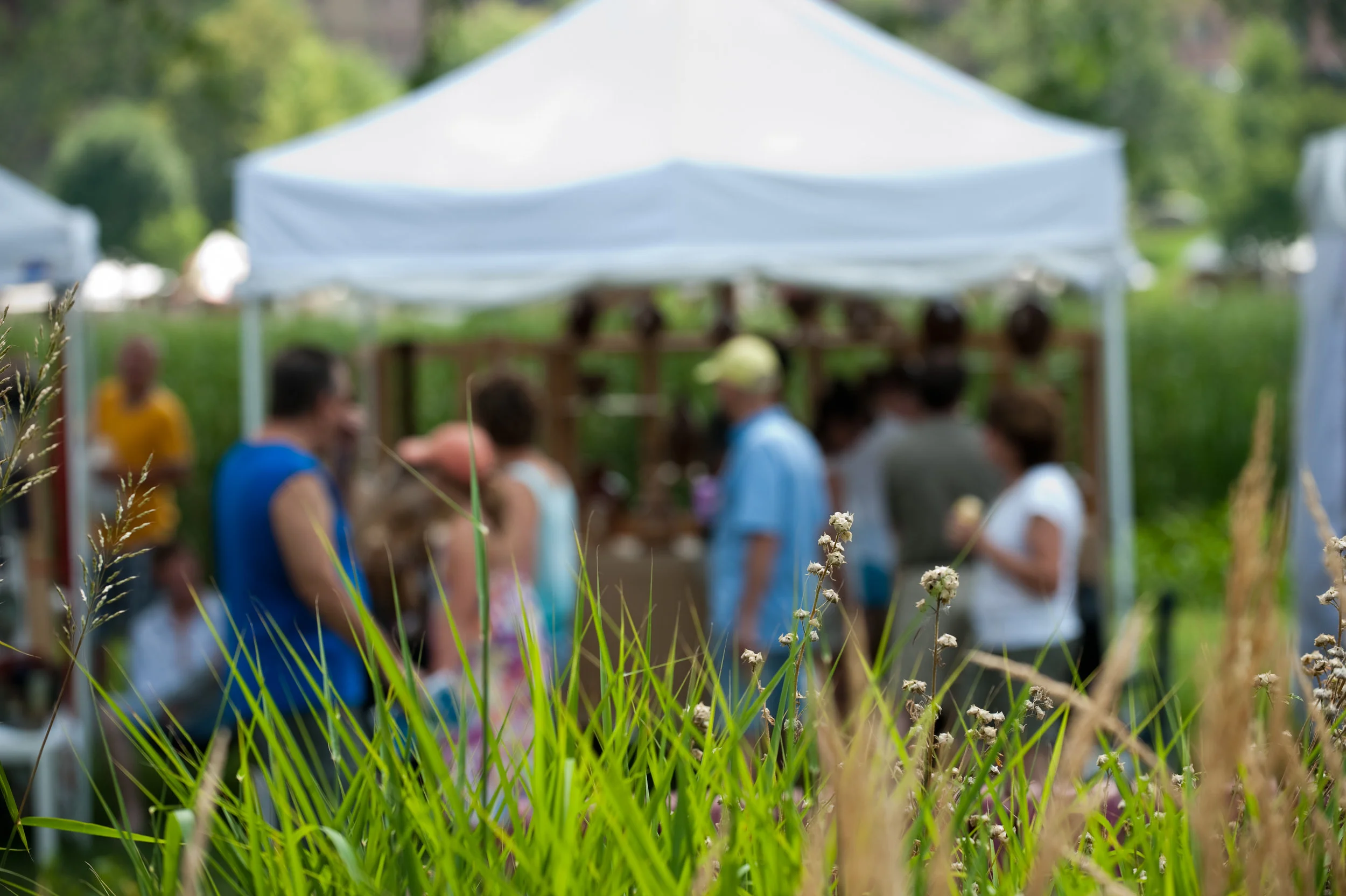 By The Garden by Sher Stoneman.jpg