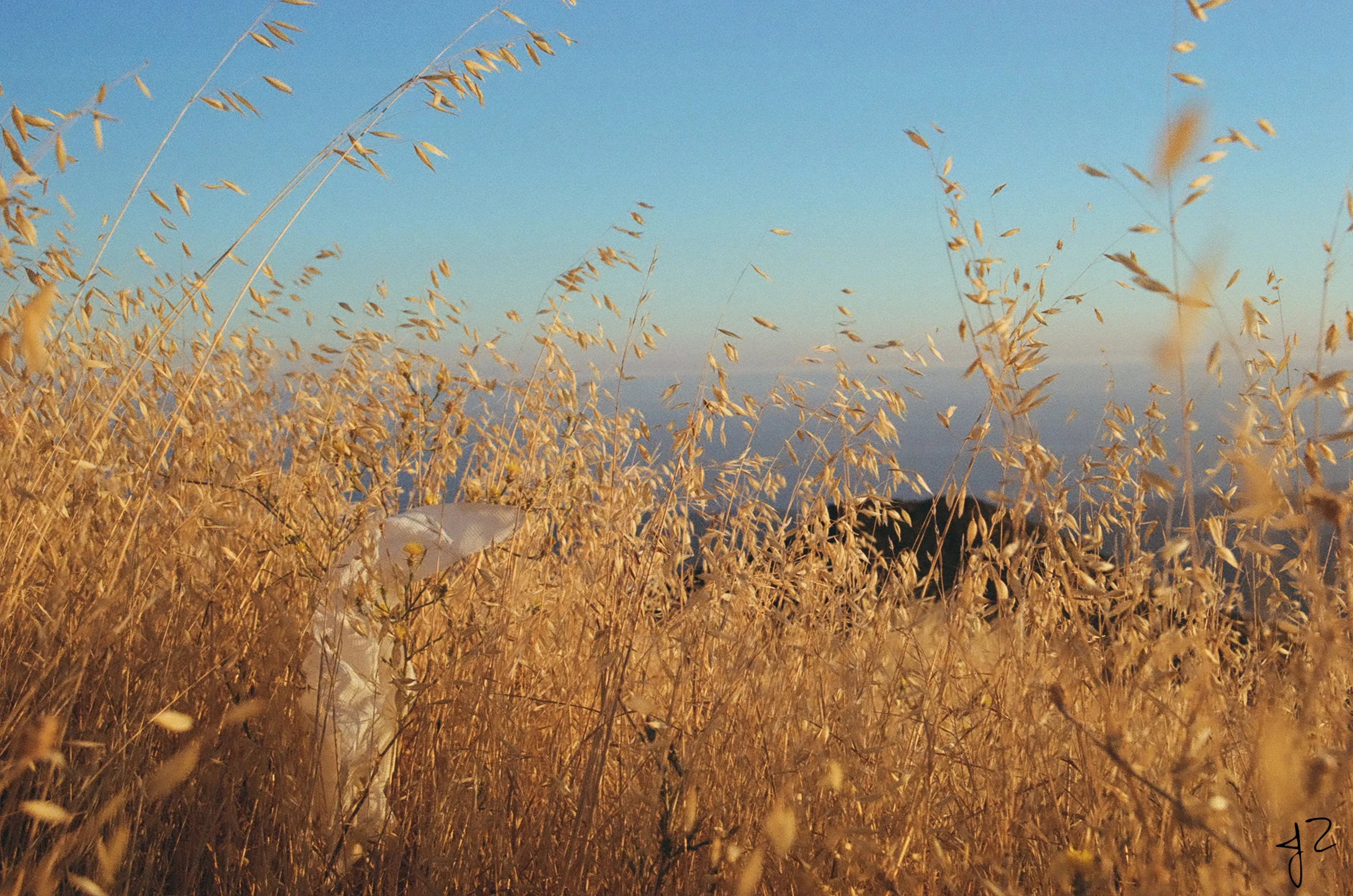 With the weeds