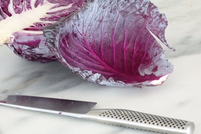 THE EL•E•VATED CURE