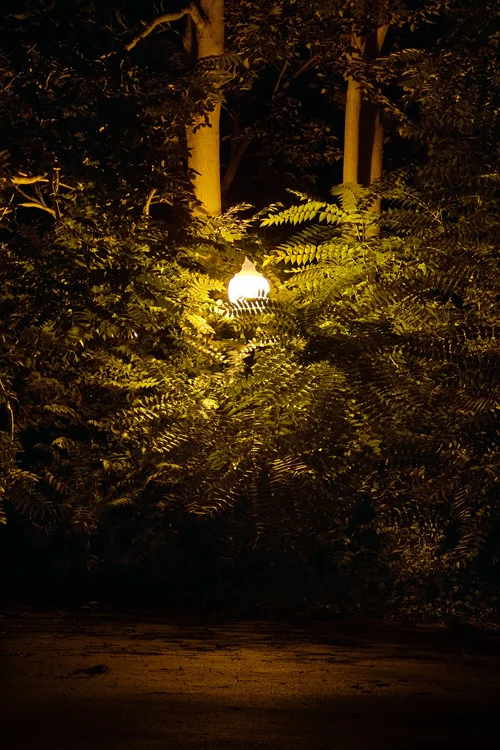 nightlights2.jpg