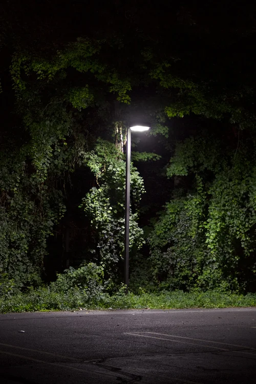 nightlights4.jpg
