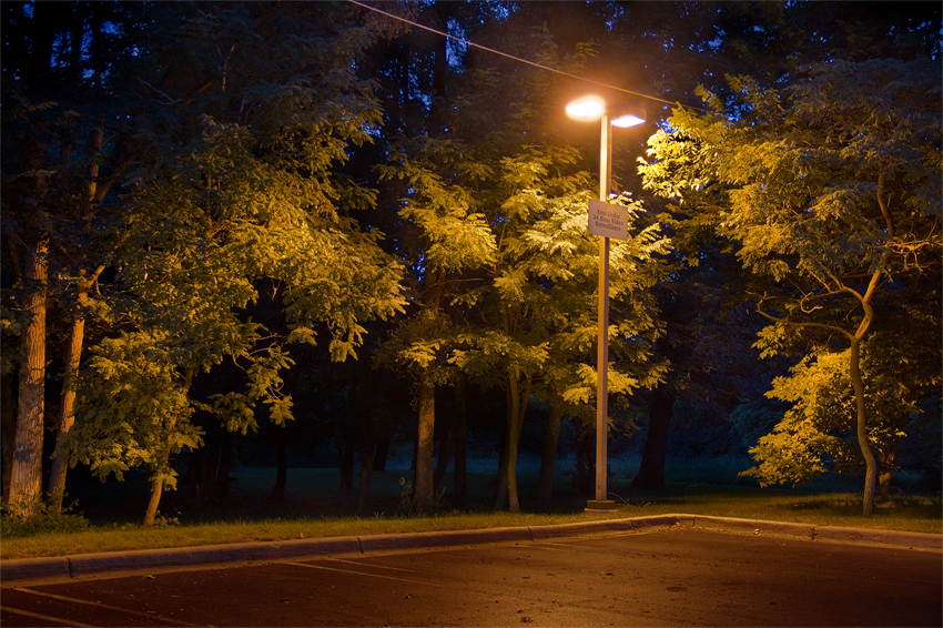 nightlights3.jpg