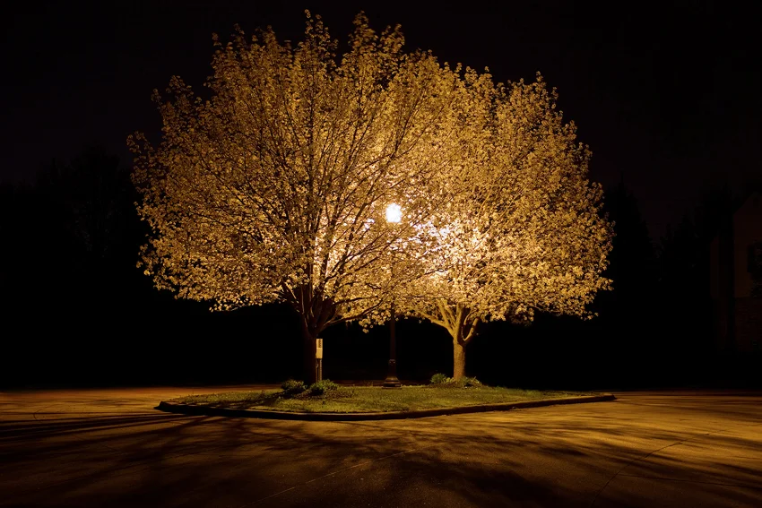 nightlights6.jpg