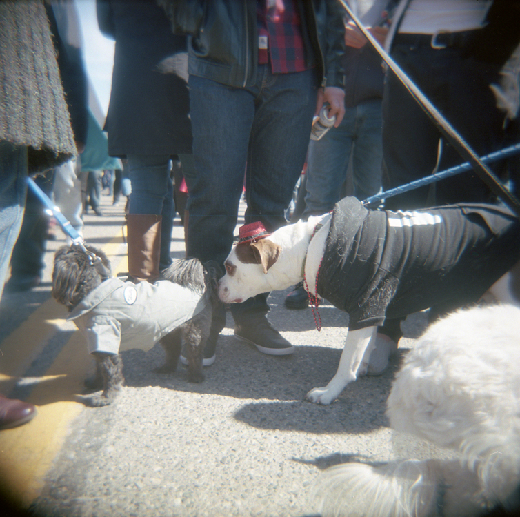 holga22.jpg