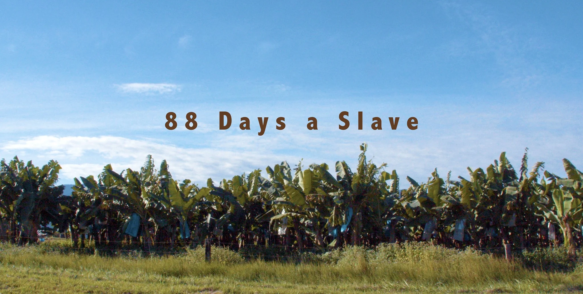 88 Days a Slave