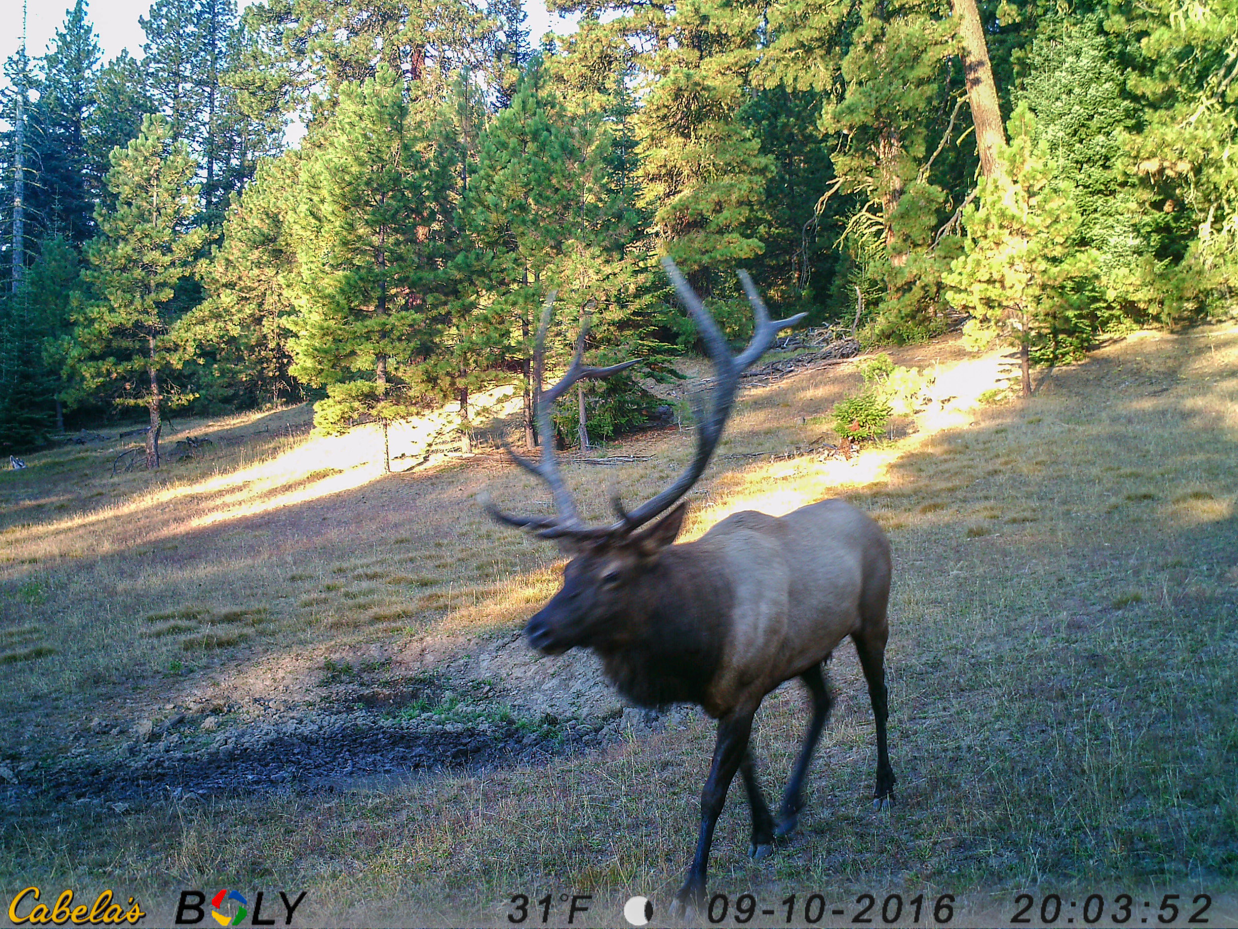 Big 6