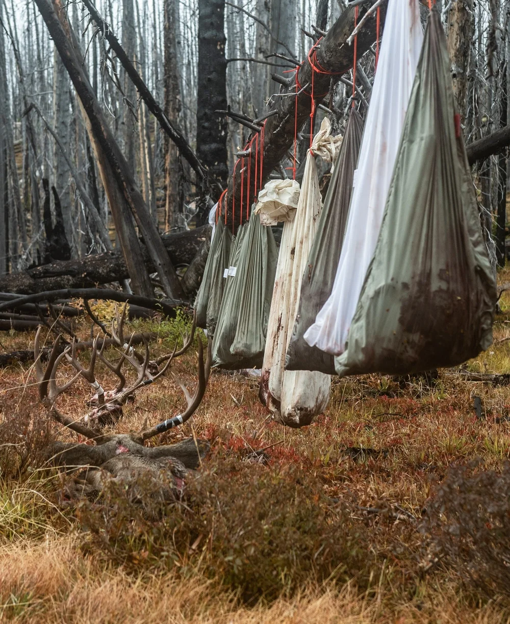 Articles Pacific North Wild