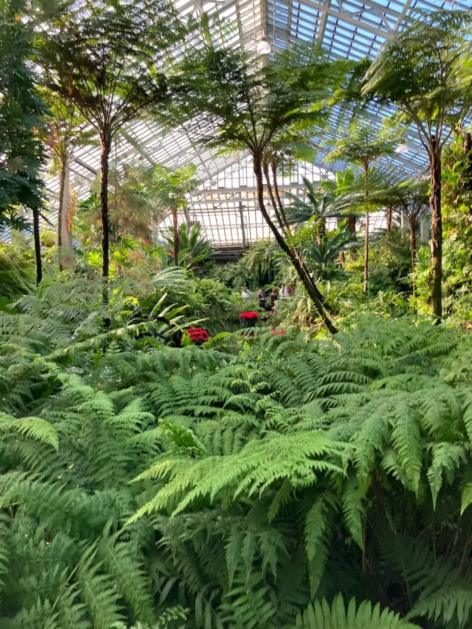 Garfield Park Conservatory