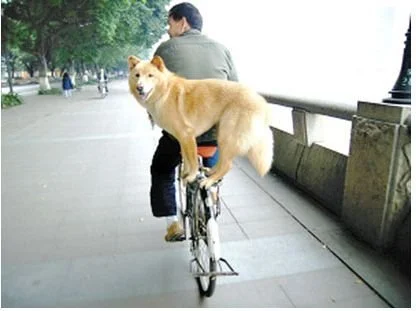 Cycling Skills 101: RIDING IN TRAFFIC &amp; IN SMALL GROUPS