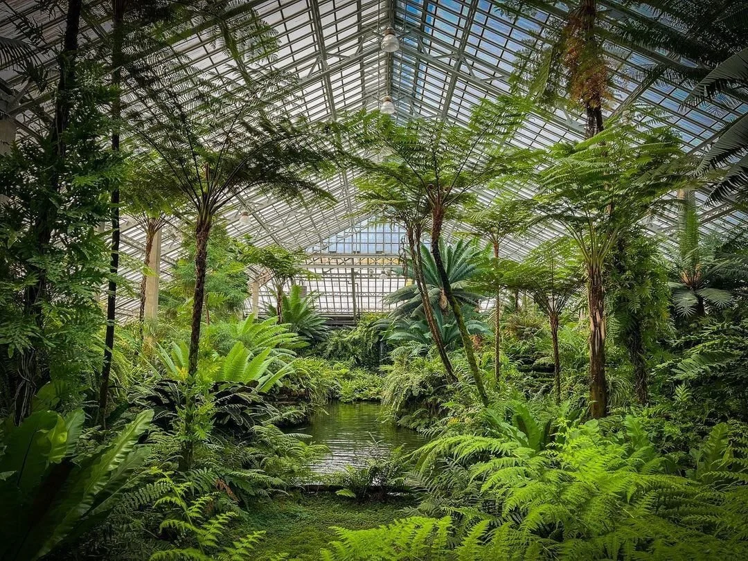 Garfield Park Conservatory