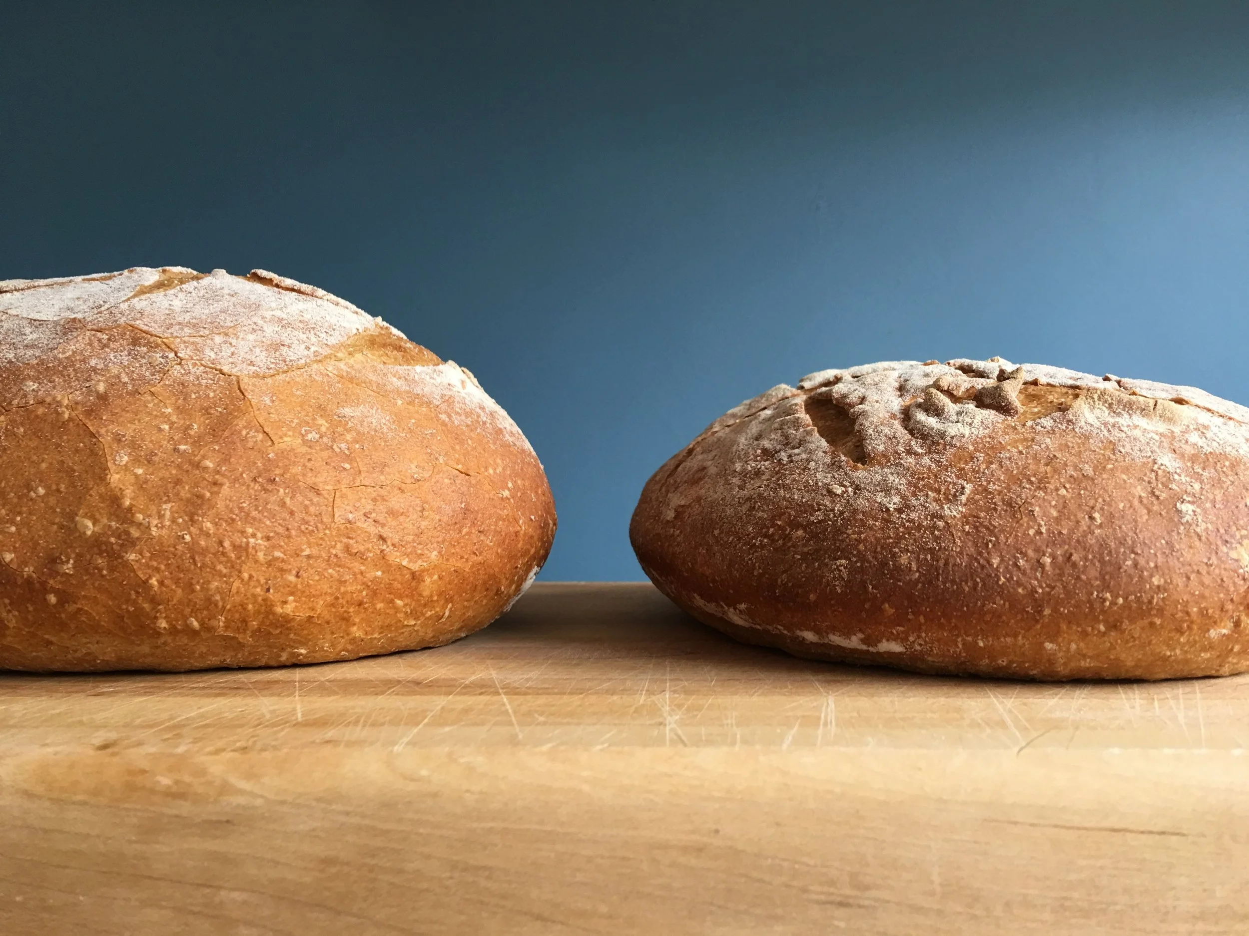Bread Tip 24 - How to stop your bread dough from spreading out!