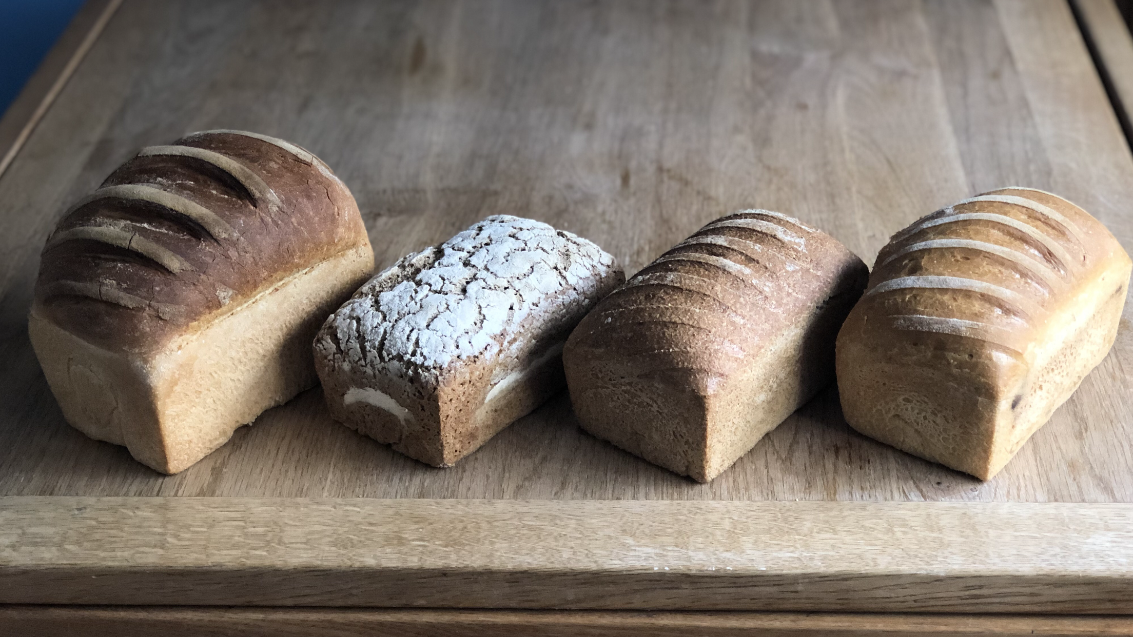 Bread SOS Episode 2: How to make BREAD out of "other" FLOURS