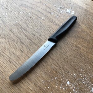 Small Serrated Kitchen Knife