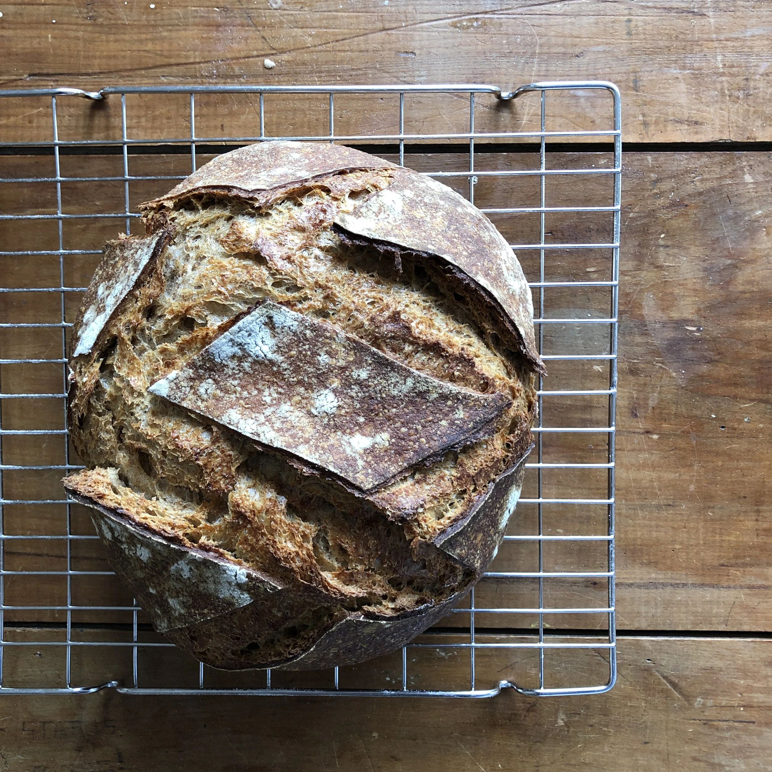 Wholemeal Sourdough Loaf