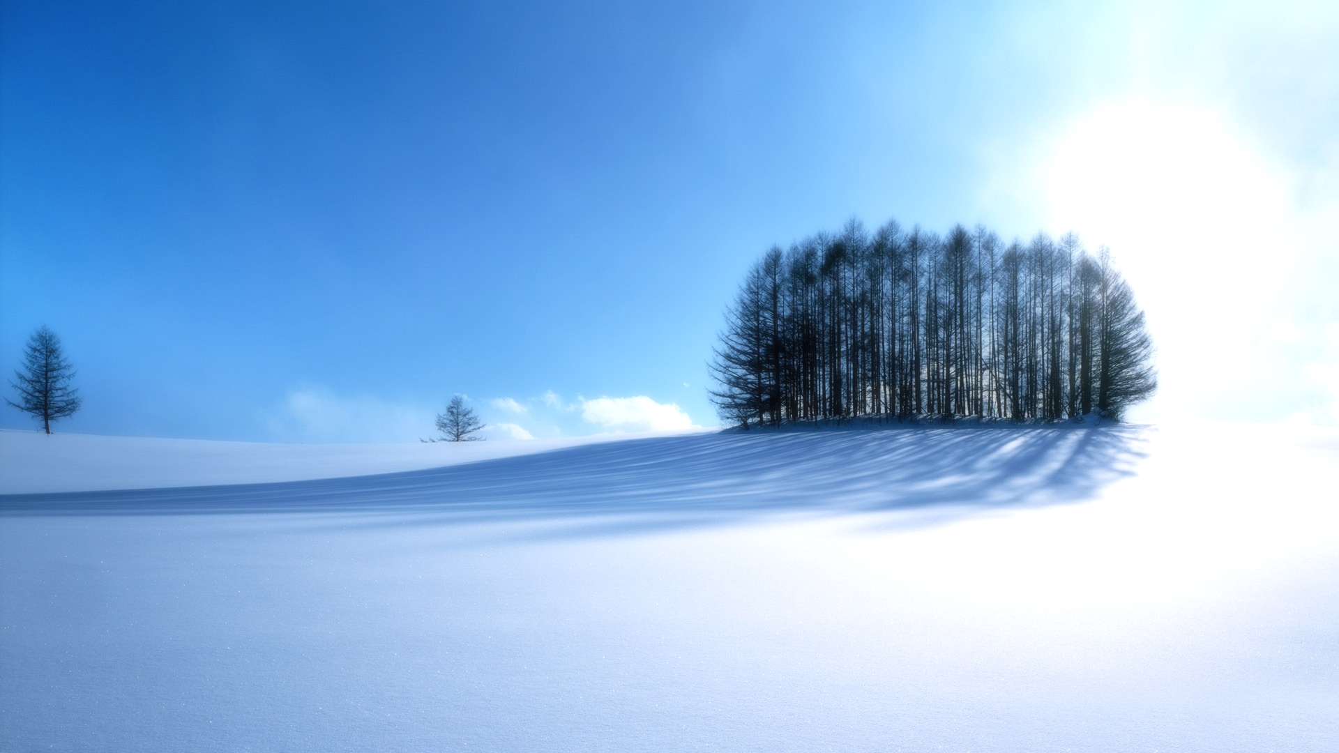 Desktop-Winter-Wallpapers-HD-1920x1080-1.jpg