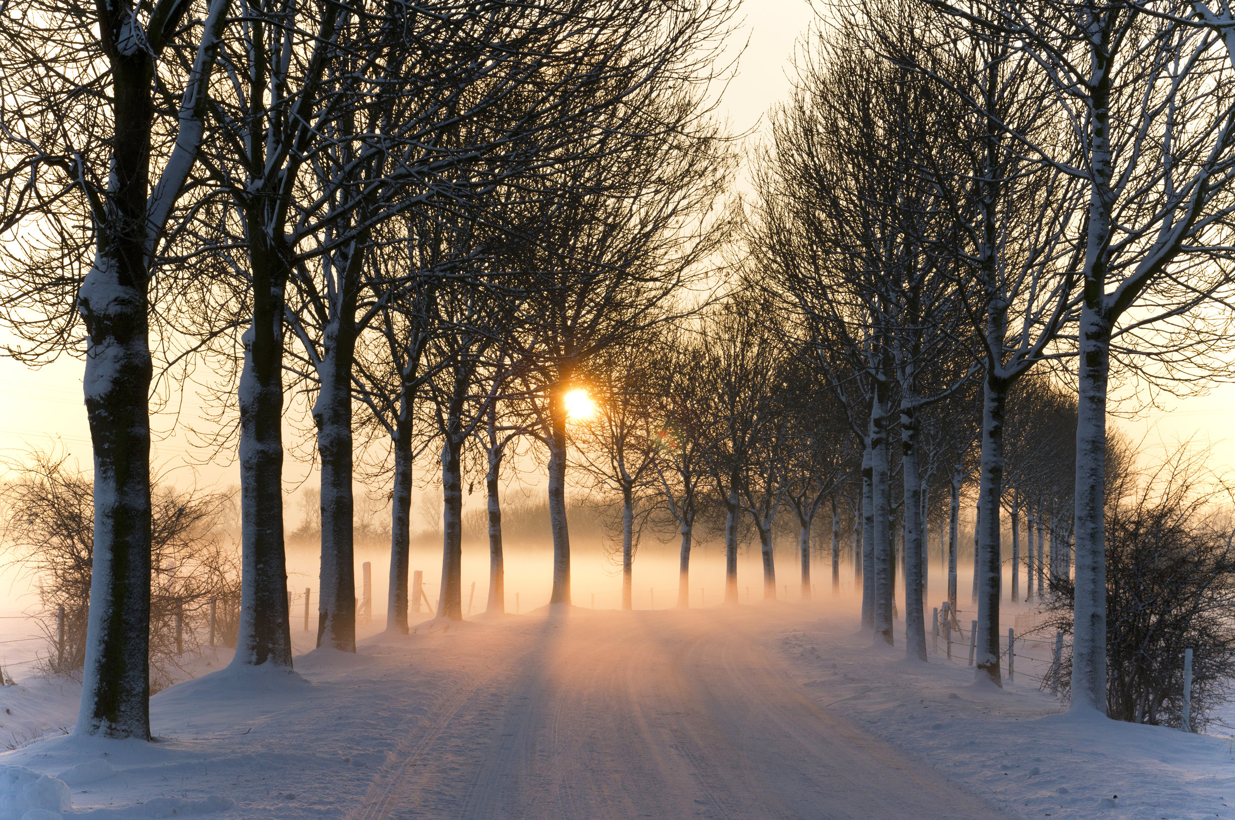 Misty_winter_afternoon_(5277611659).jpg