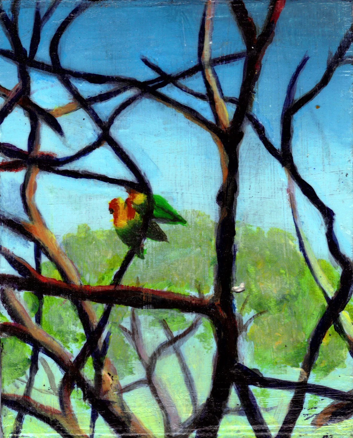 "Three Love Birds"