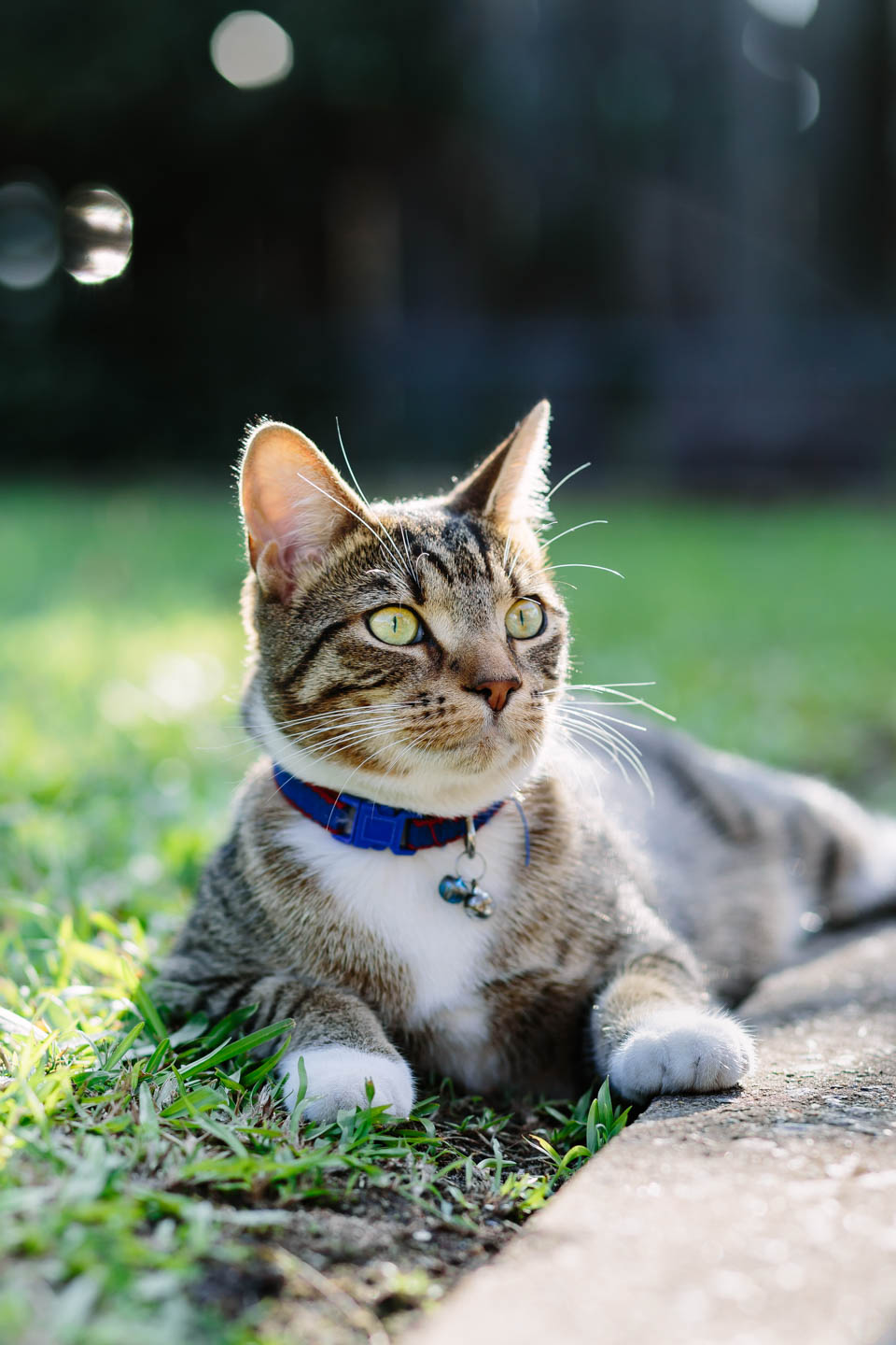 Boris_23-Apr-17-124.jpg