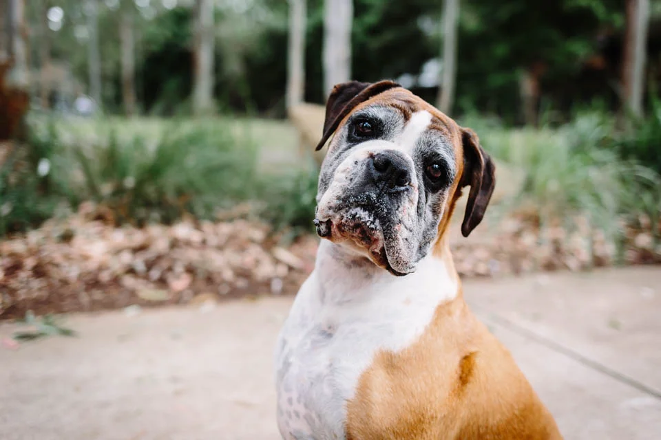 Katie_13-May-17-117.jpg