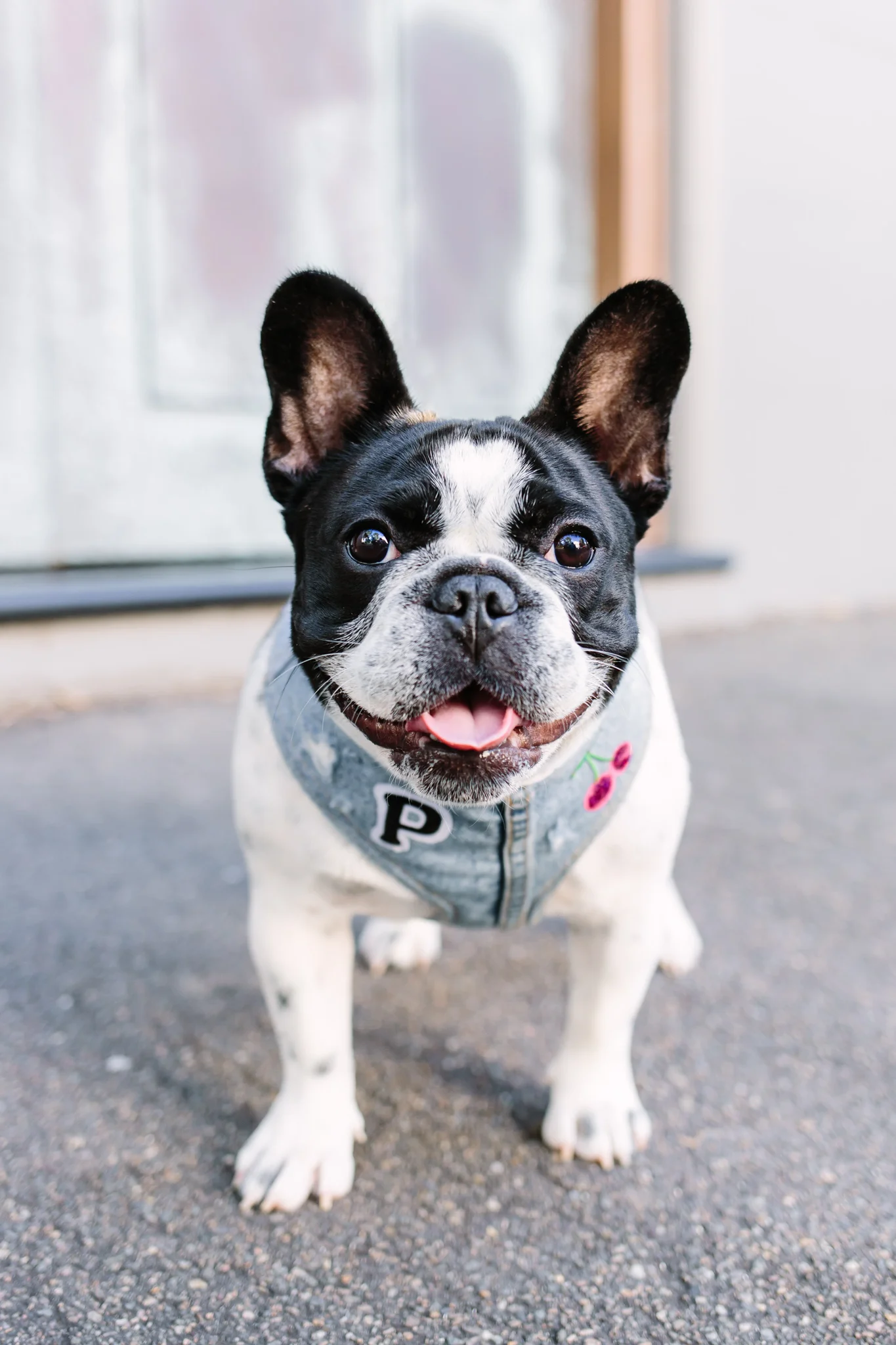 Pepper_08-Apr-17-698.jpg