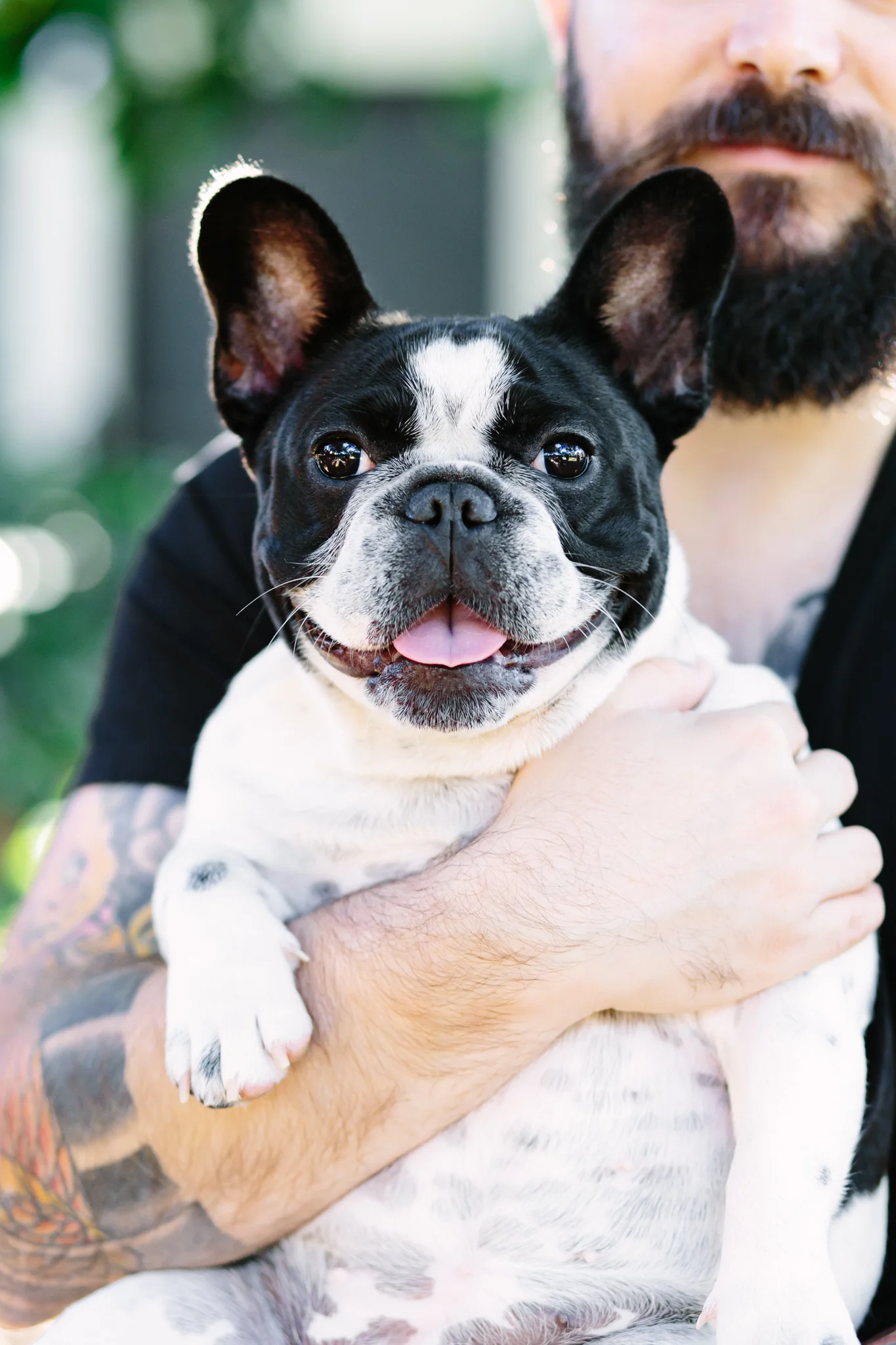 Pepper_08-Apr-17-1316.jpg
