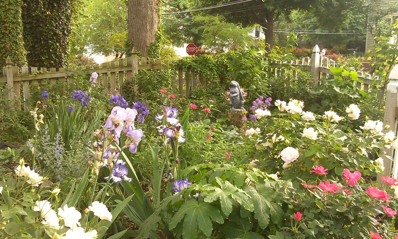  WildLife garden in the Spring