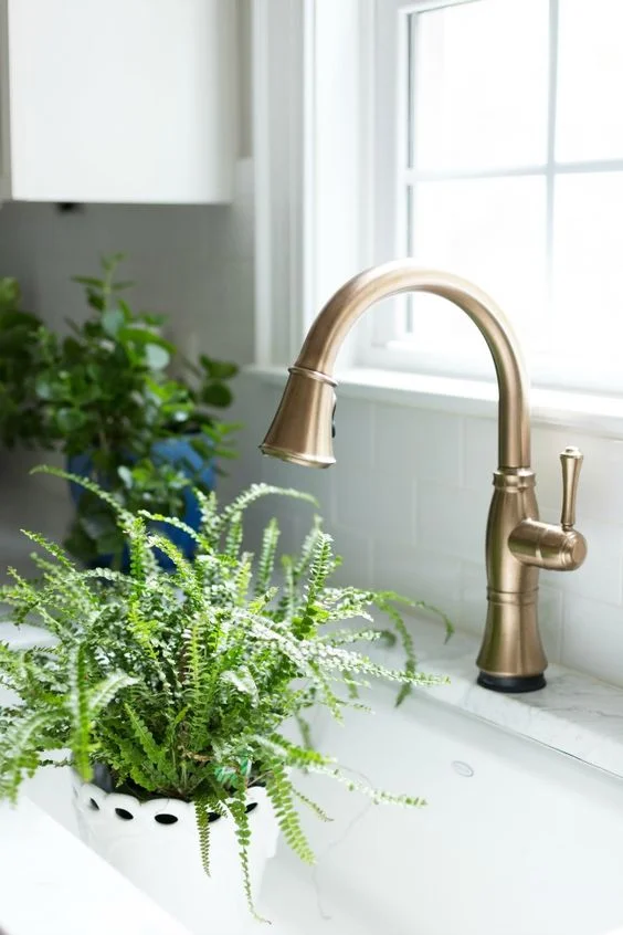 delta faucet.jpg