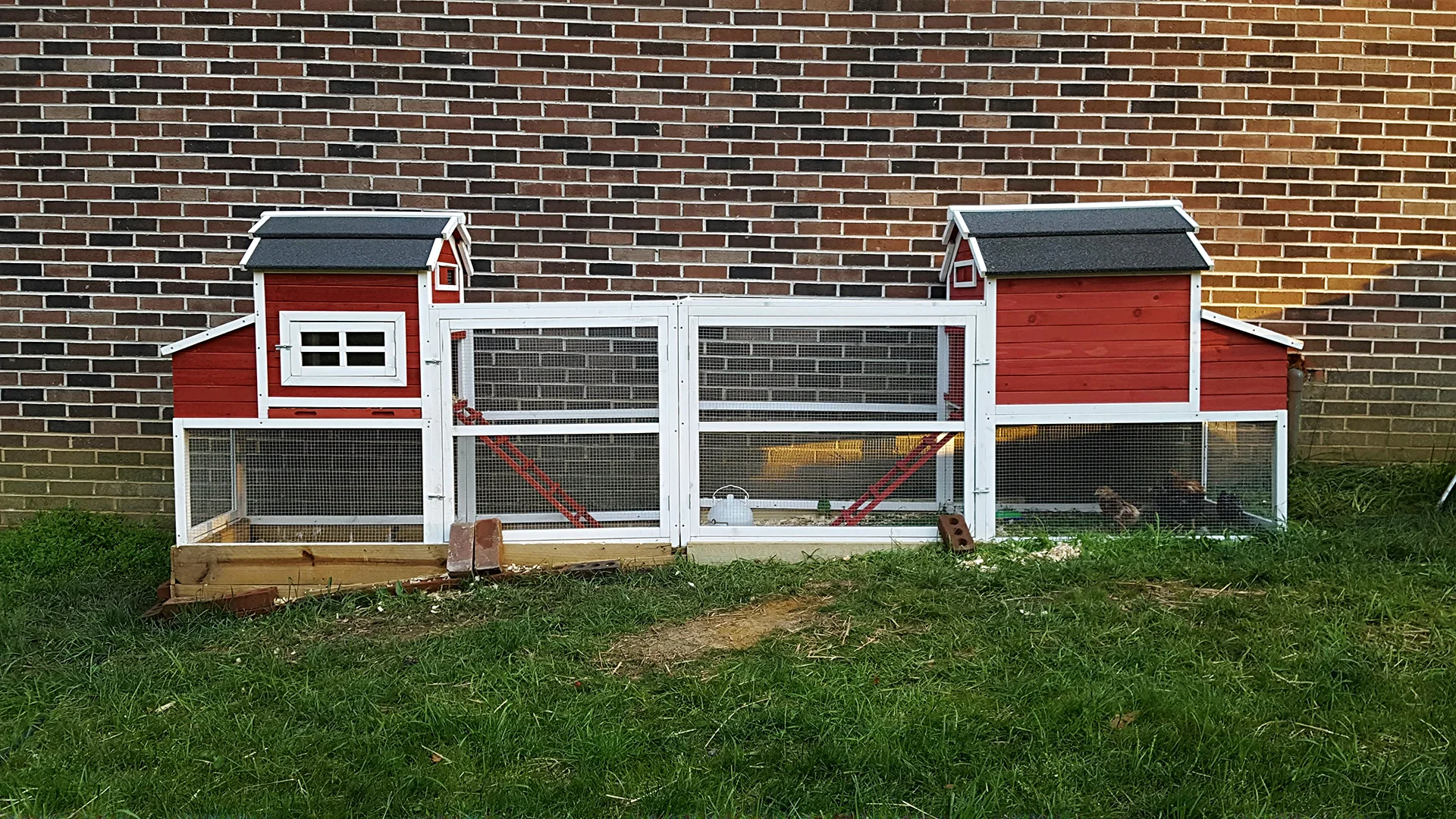 AirBrush_20171202192259.jpg