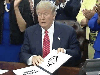 donaldDrawsIt.gif