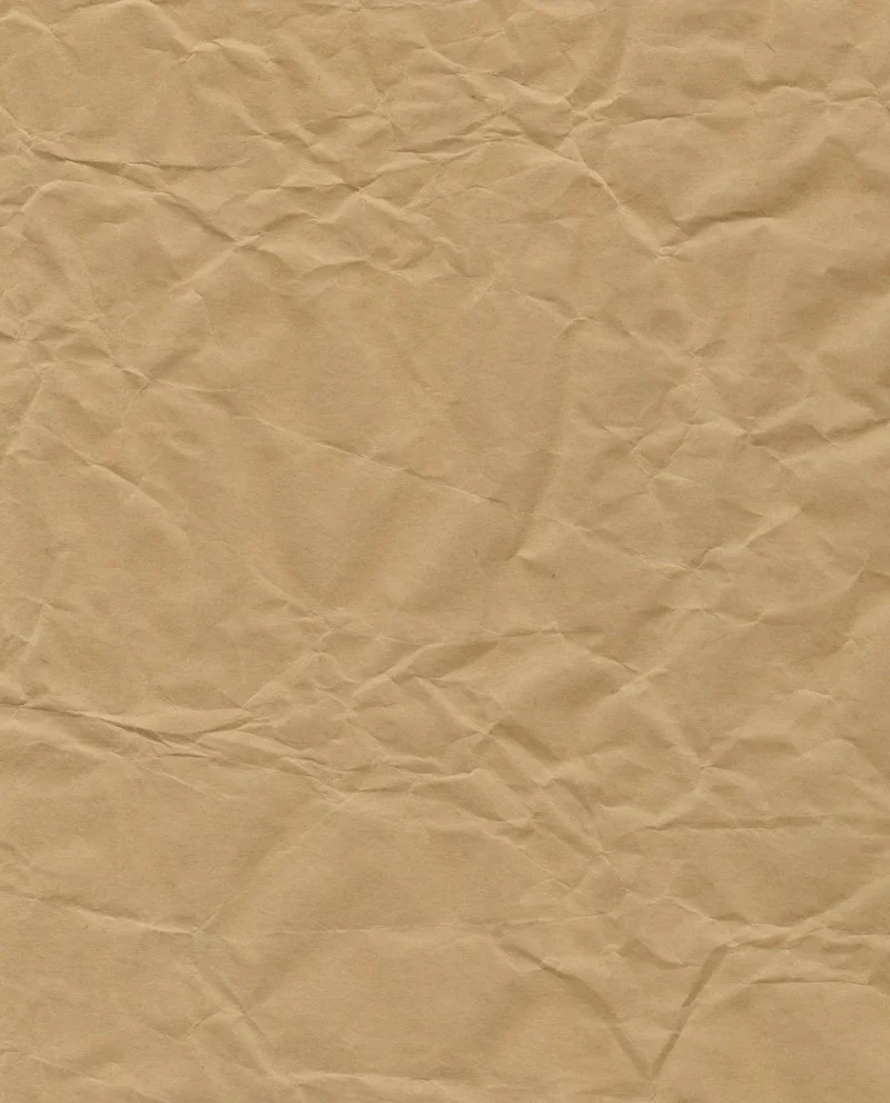 kraft_paper_2_by_stever55.jpg