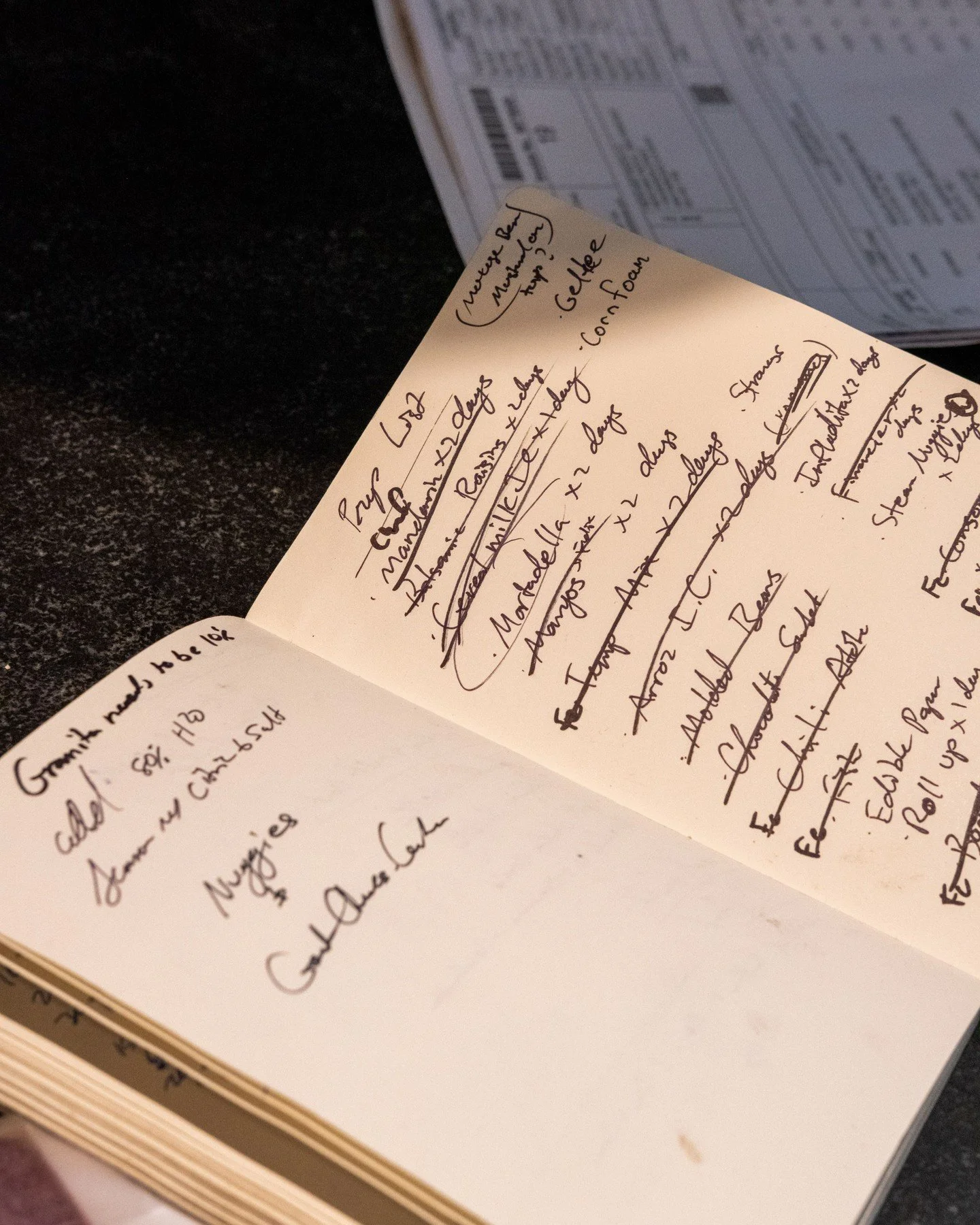 A peek into how our brains work. Lots of courses, ingredients, prep to manage. We've been brainstorming, testing, re-testing and tasting Feast of Moss woods for a while now, and this week is our final run through before we re-open on Friday to unveil