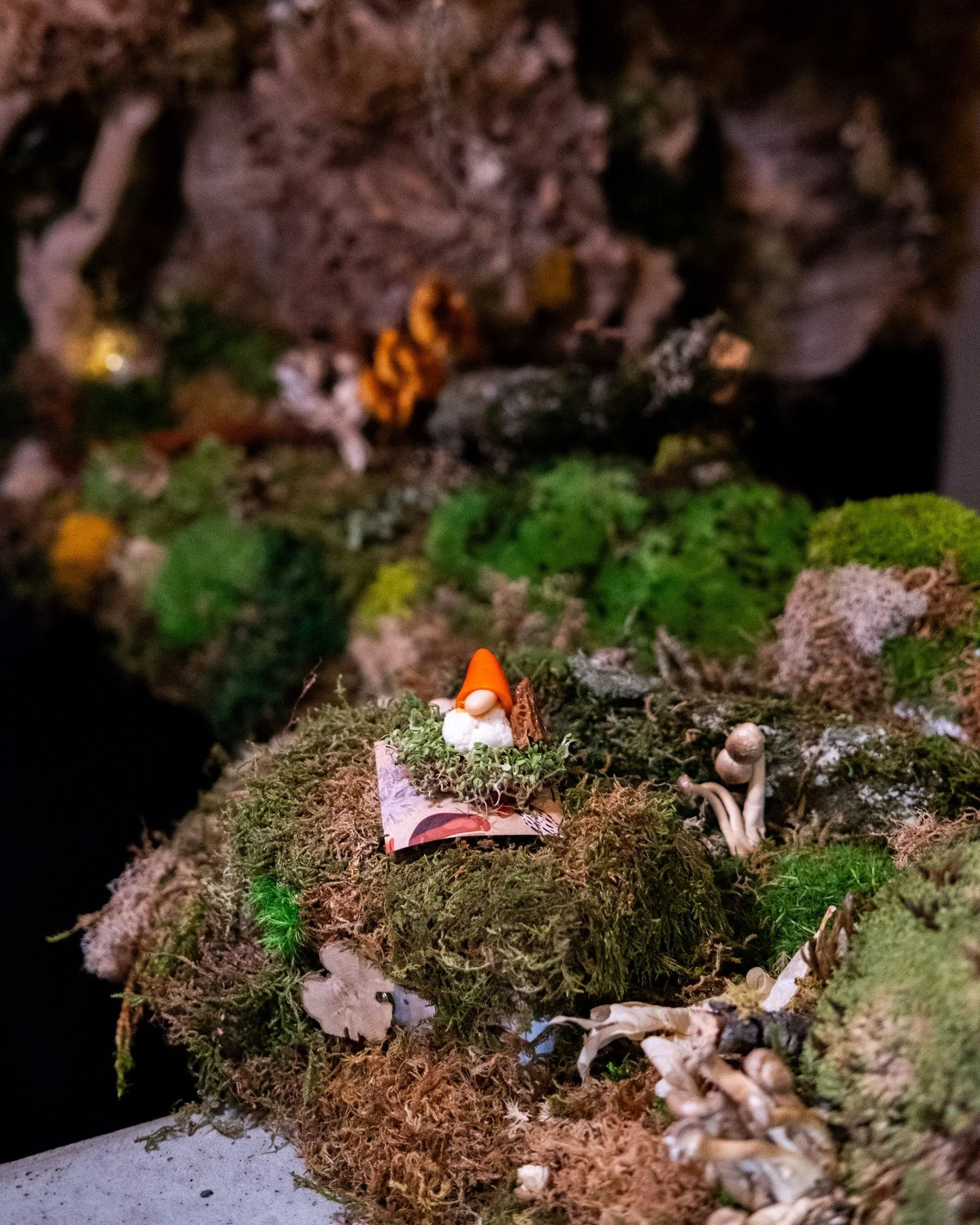 The Feast of Moss Woods, quite literally. Tucked into your mossy tablescape you'll find a selection of snacks, bites, and surprises to forage as you begin your night with us.