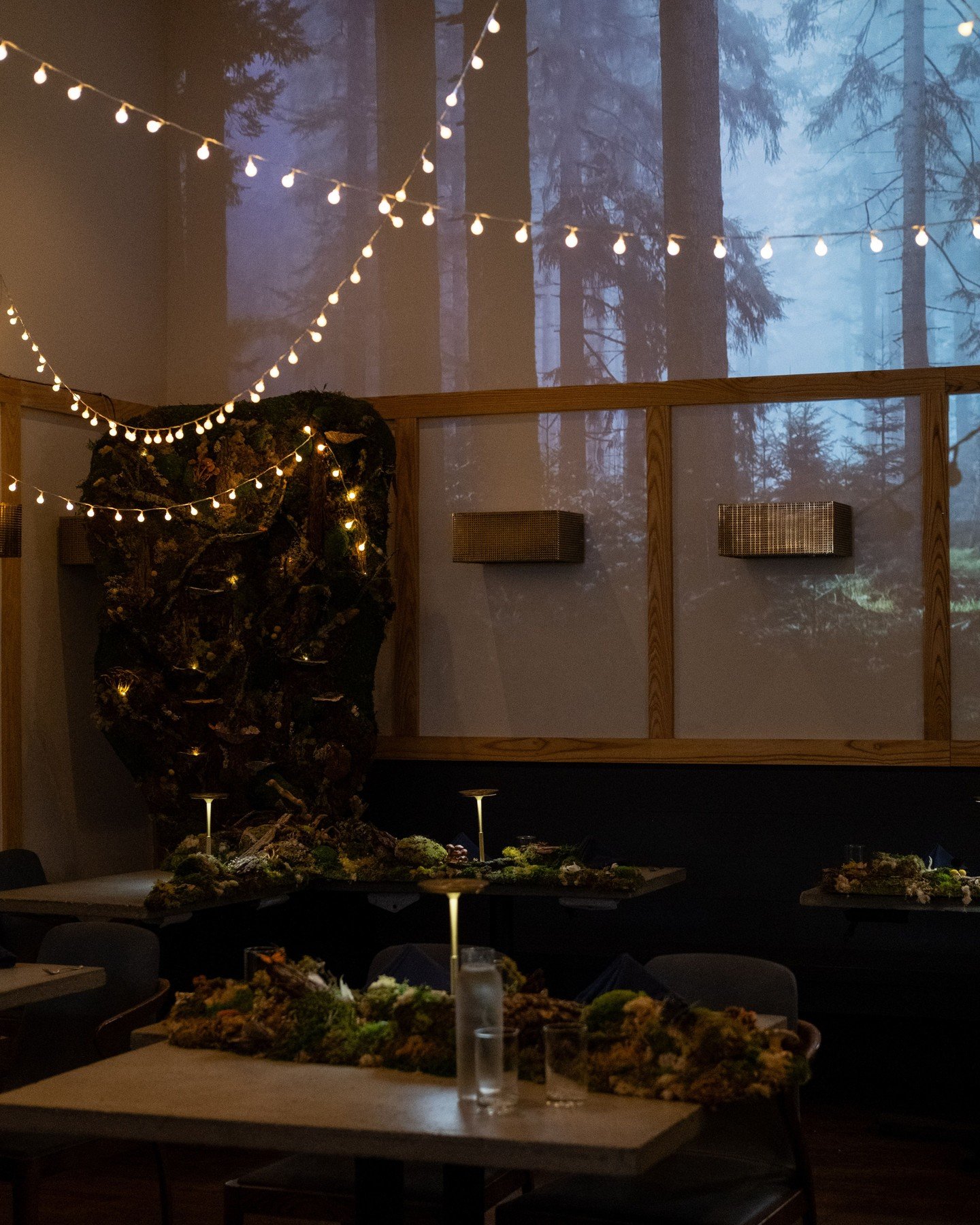 Setting the scene. A moody, mossy dining room, for your feasting pleasure. We are filling up fast for the rest of this year, get your Feast of Moss Woods reservations at our bio link. Vegetarian and gluten-free nights available, please book separatel