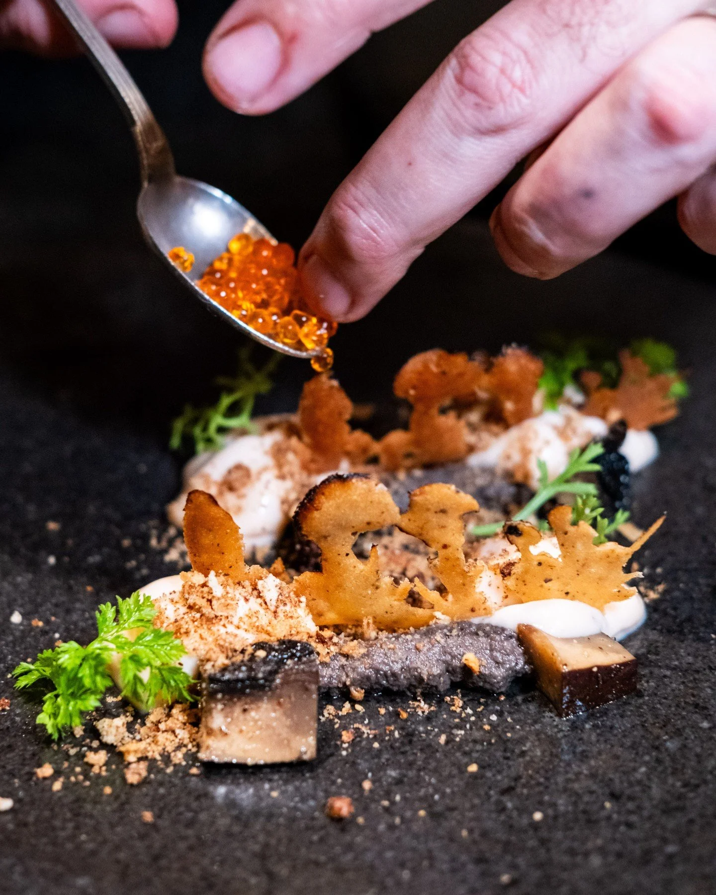 Roe joining the party on our trout dish, a main that takes you over the river and through the woods, so to speak.	

#merchantroots #feastofmosswoods #trout #plating