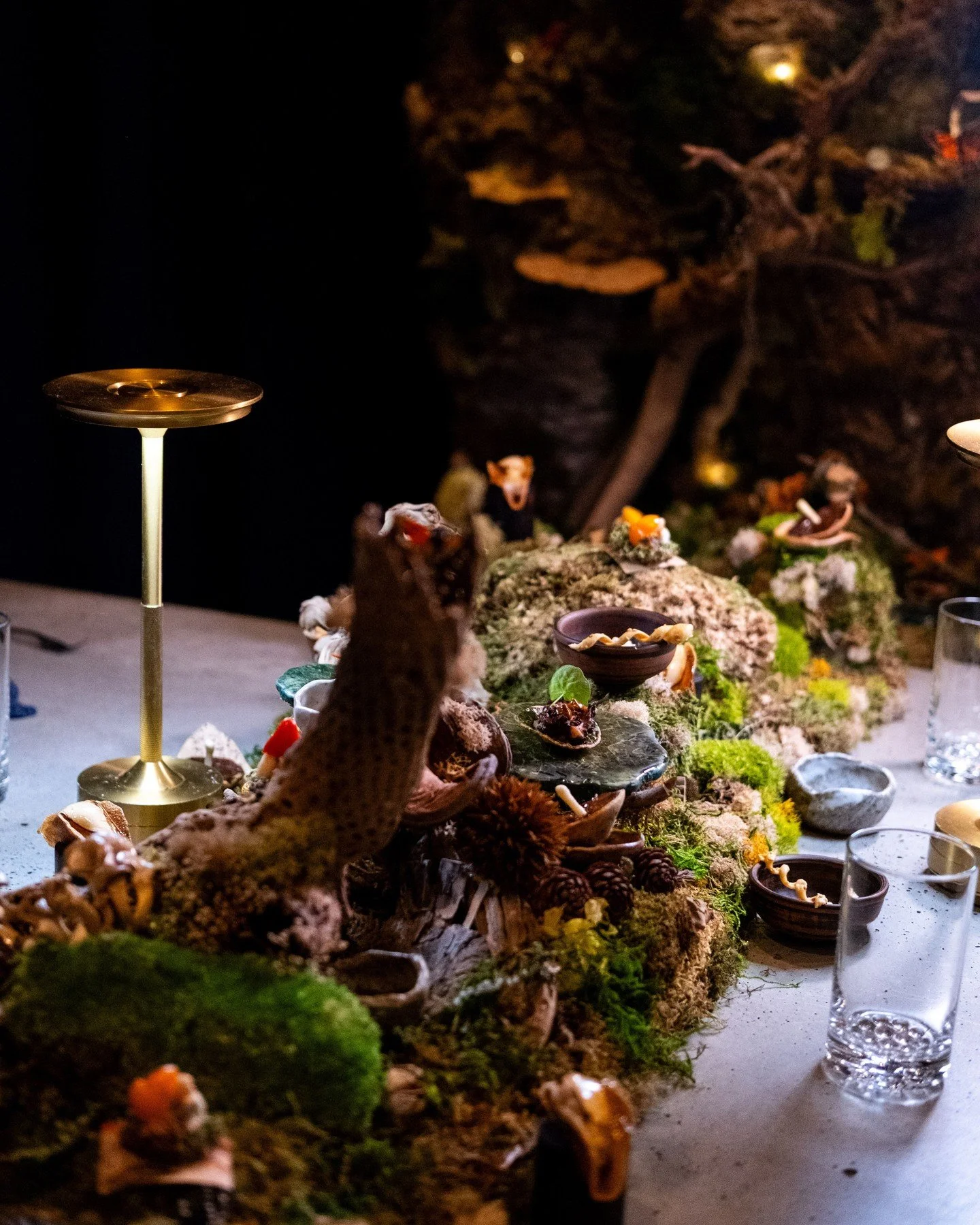 A mossy landscape full of edible offerings, waiting for you to forage. Feast of Moss Woods, our ode to mushrooms. Available to book at our bio link, but the time is running out&hellip;	

#merchantroots #feastofmosswoods #foraged #mushroommenu #winter