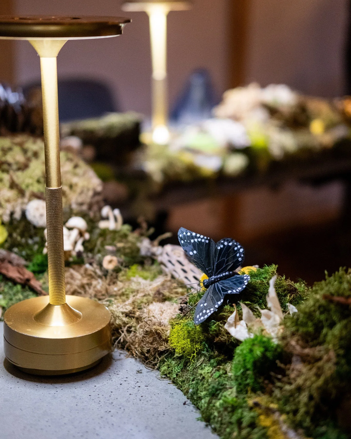 The butterfly effect. If you don't book a Feast of Moss Woods dinner before February 26th, this menu will be gone forever&hellip;and who knows what will happen. Link in bio to change the course of your future (maybe).	

#merchantroots #sanfrancisco #