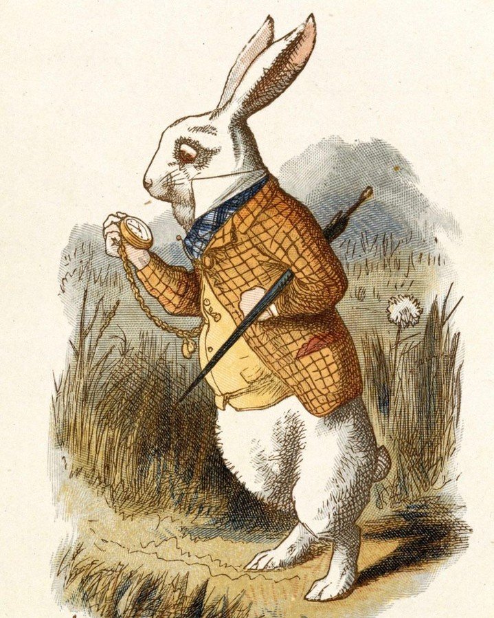 So&hellip;which rabbit hole should we go down? Join our Mad Tea Party, now on at Merchant Roots. Link in bio to book; we also have vegetarian and gluten-free specific evenings available.	

#merchantroots #madteaparty #conceptmenu #rabbithole #sfresta