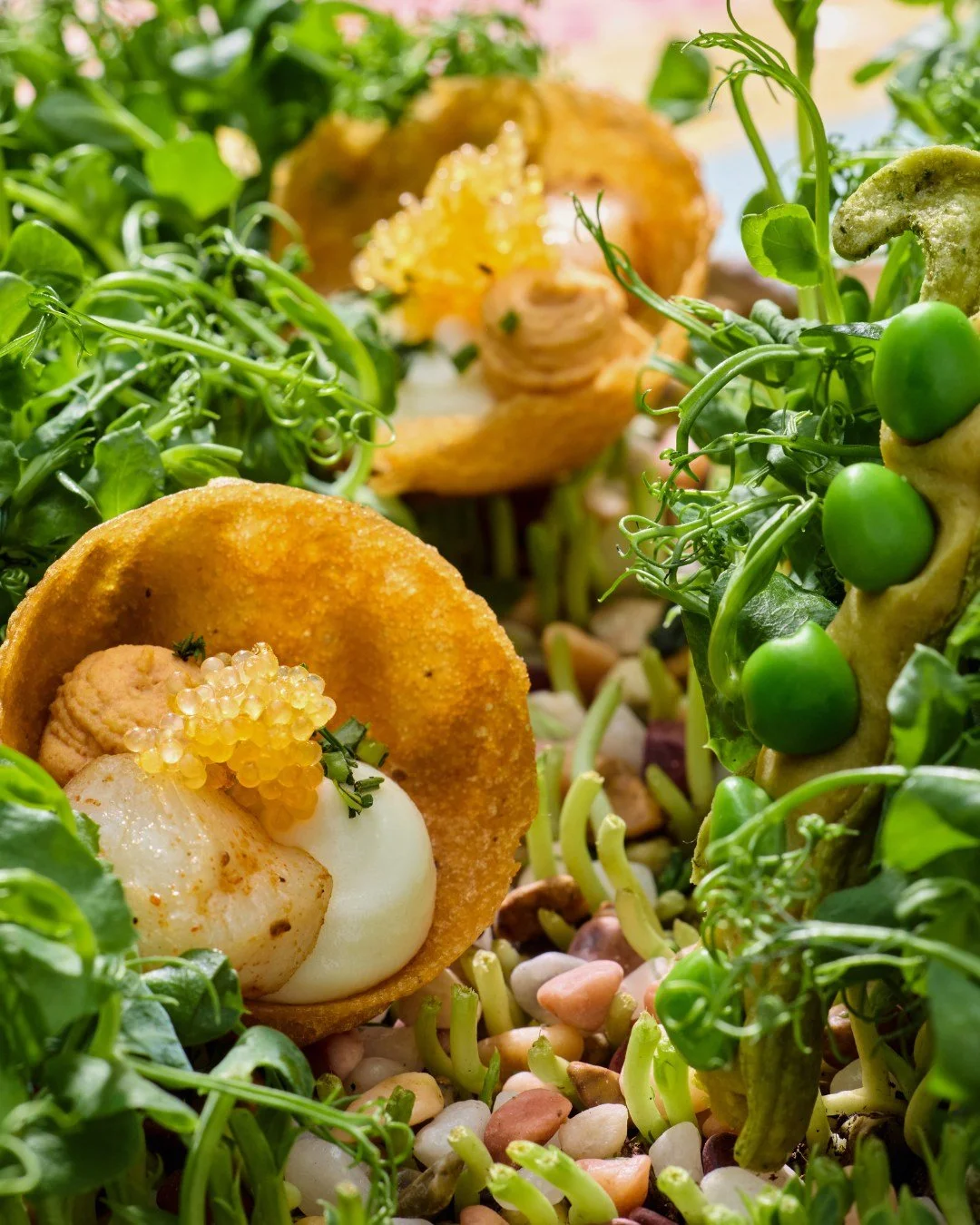 Journey through the garden of mushy peas, and you'll spot the land of reimagined Fish and Chips. Just past the hedge maze, but if you reach the pie, you've gone to far...	

#merchantroots #mushypeas #fishandchips #madteaparty #conceptdining