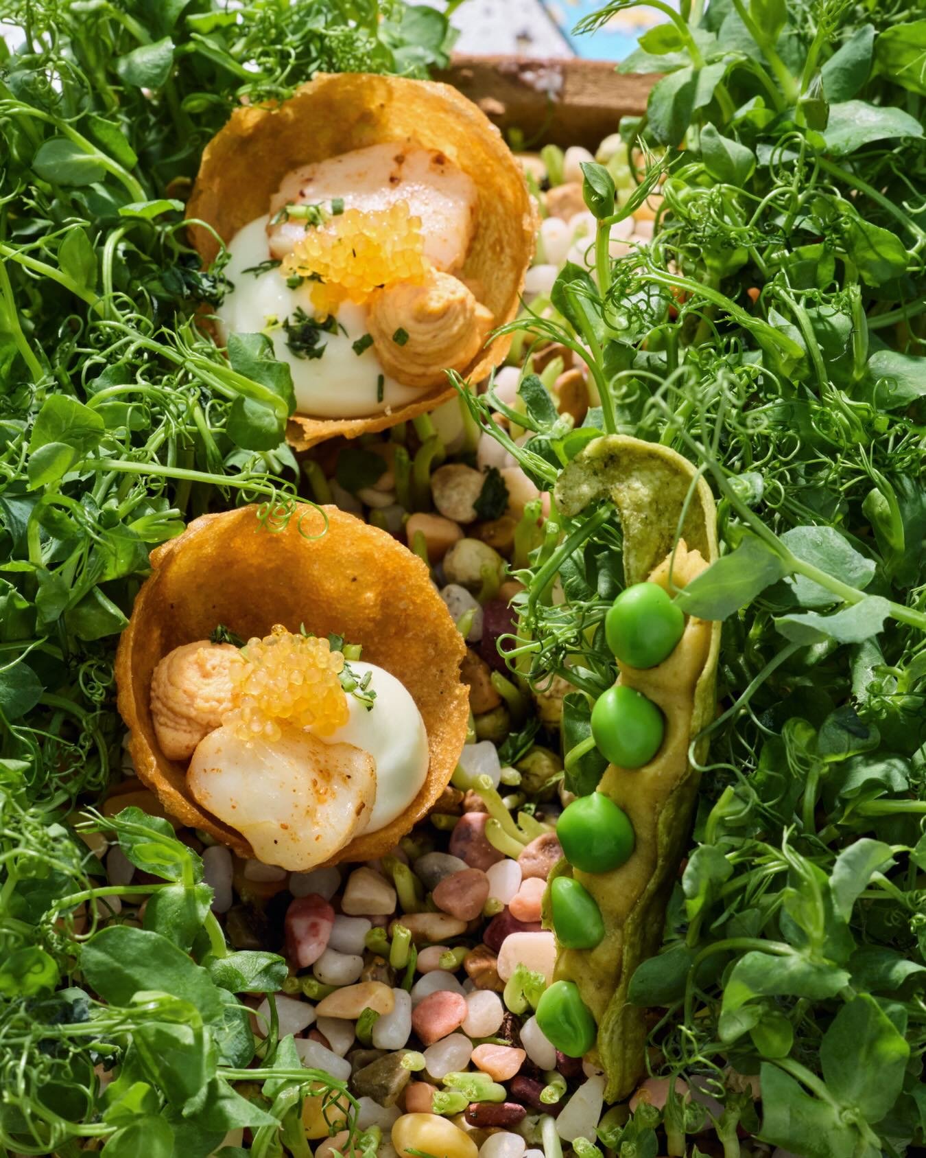 A hop, skip, and jump across the pond into the Garden of Mushy Peas and the Land of Fish and Chips. Find a pea pod filled with mushy pea hummus and fresh sweet peas, alongside a beer batter cup filled with whipped potato, olive oil poached petrale so