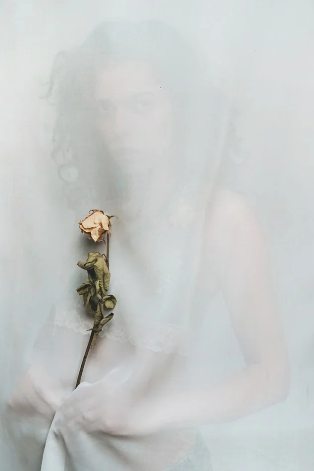 The Beauty Of Not Being Constantly In Bloom 