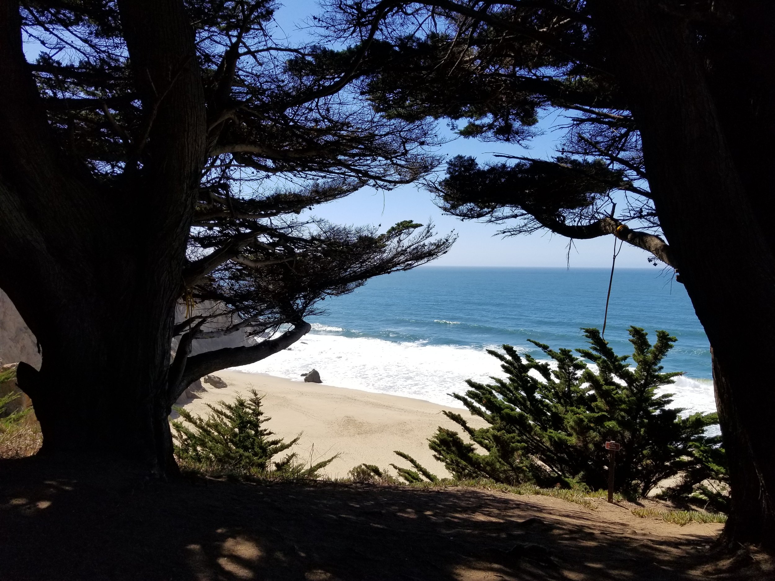 20171002_133258.jpg