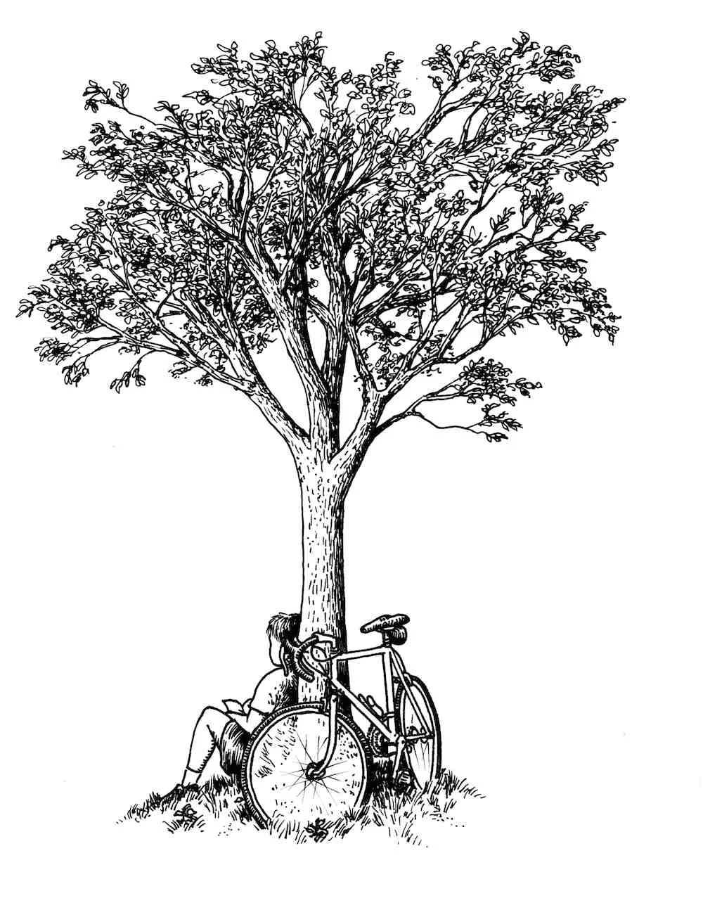 Tree-Sitter_med.jpg