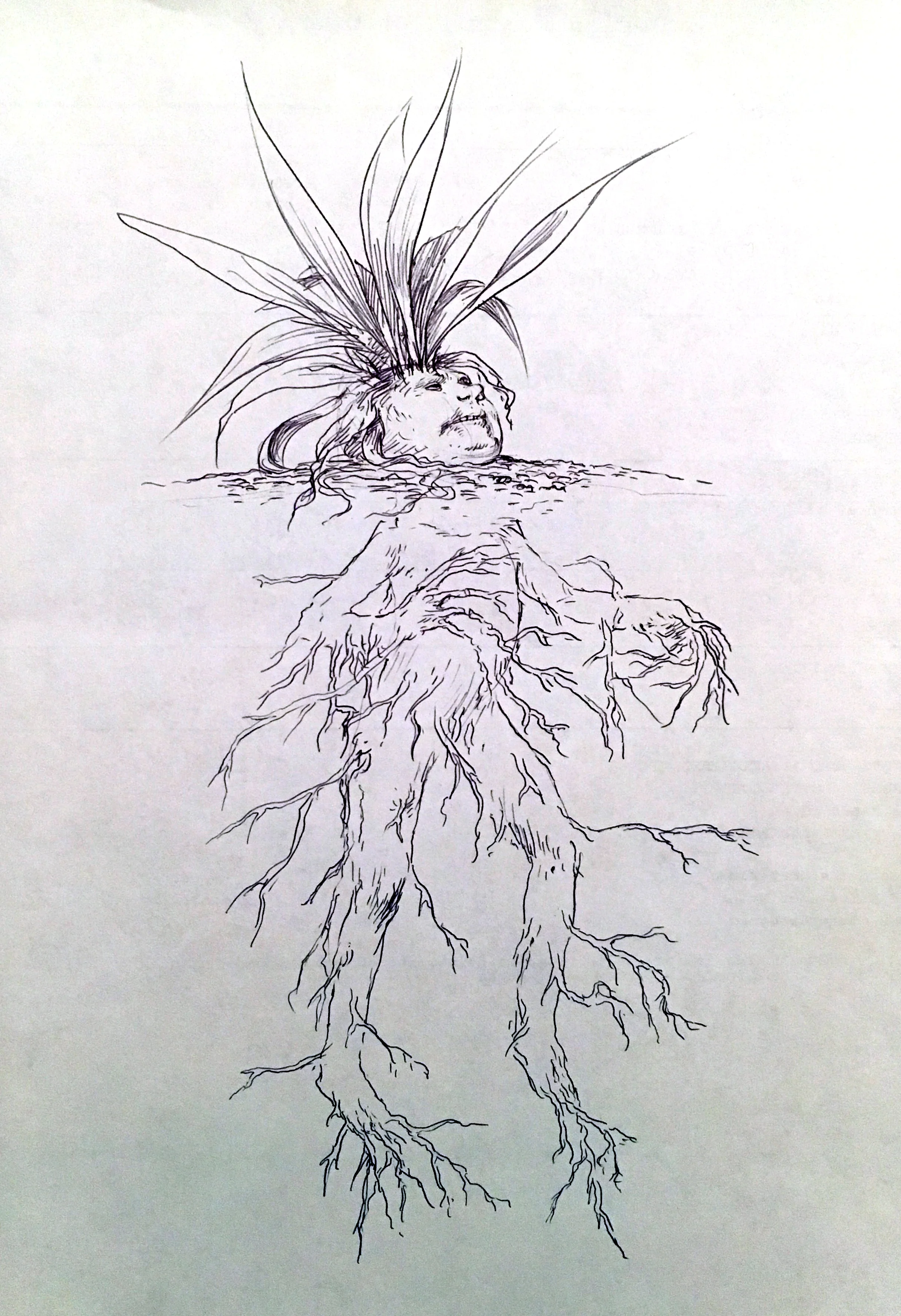 plant-man_hi.jpg