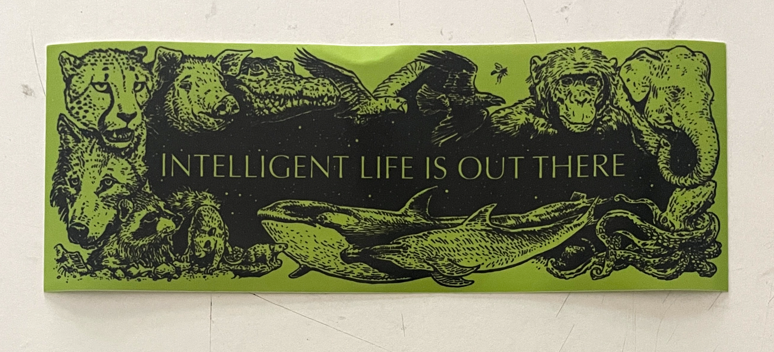 Intelligent-Life_photo_01.png