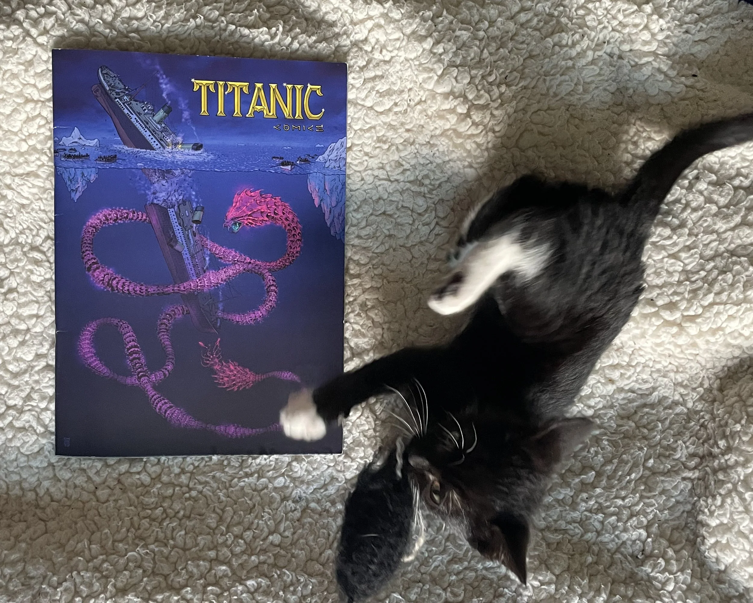 Titanic-1_front_kitten-for-scale.jpg