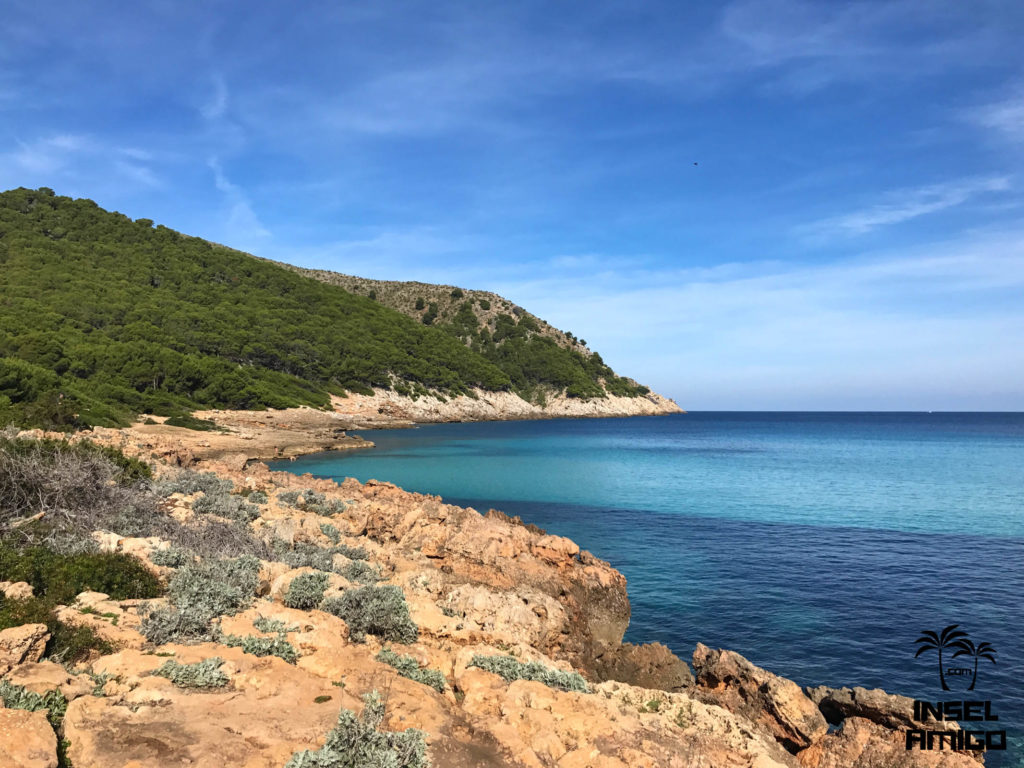 Die Cala Moltó