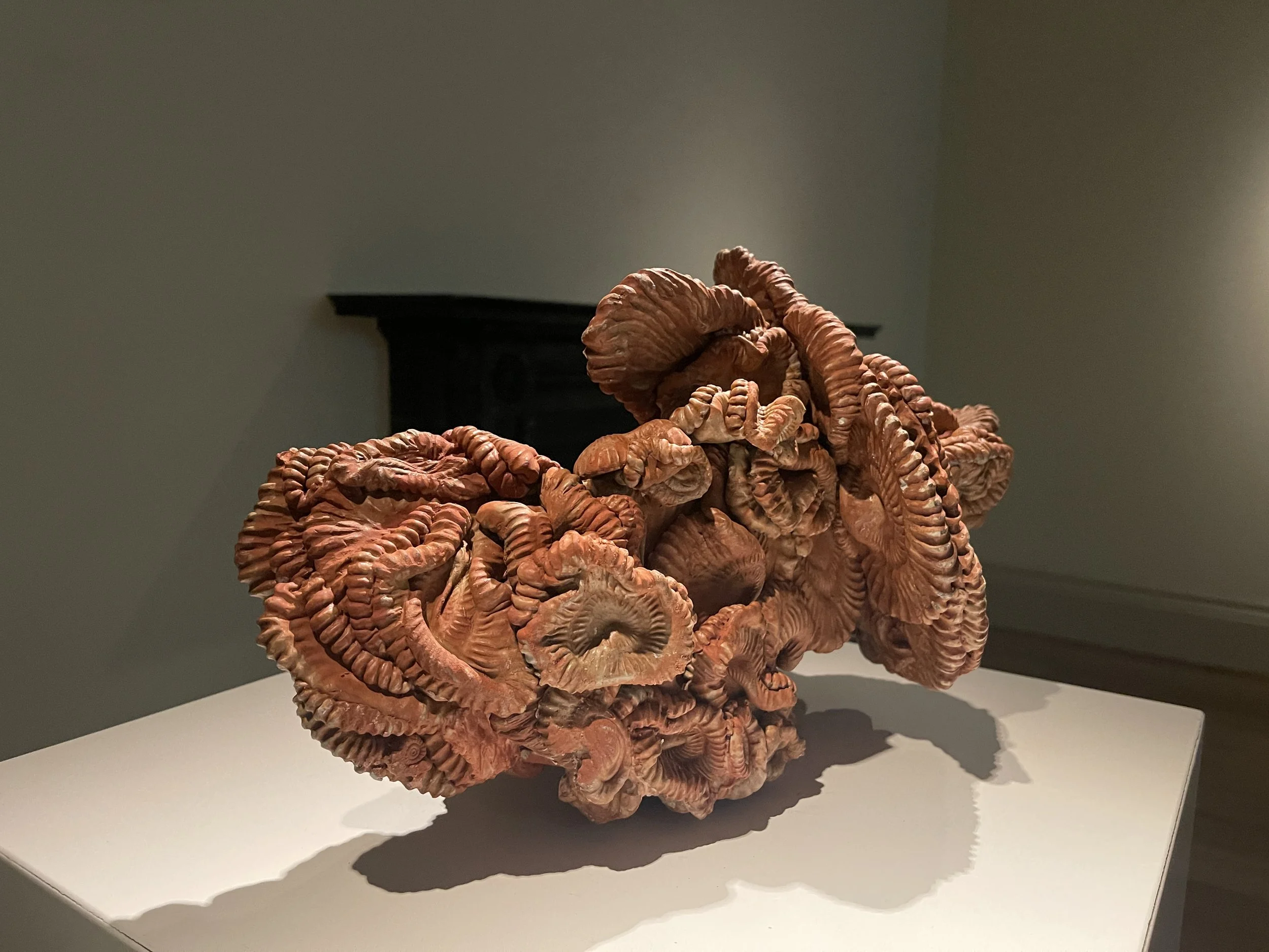 Pace the Shallow Sea, 2026