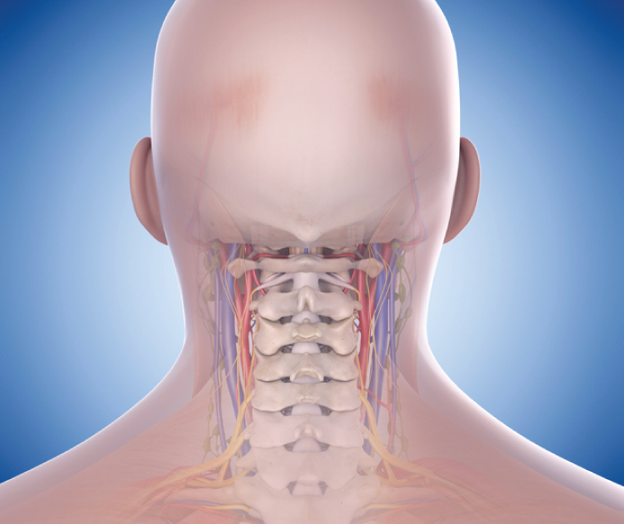 head.jpg